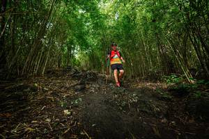 BIB: 
                            <button type="button" onclick="openModal(25100866)" class="btn btn-primary btn-sm float-right btn-popup" data-toggle="modal" data-target=".modal-high-quality">
                        <i class="fas fa-shopping-cart"></i> Add to Cart
                    </button>
                                            <button type="button" onclick="isThisMe(25100866, true)" class="btn btn-success btn-sm float-right btn-popup btn-isme hidden" data-toggle="tooltip" data-placement="bottom" title="นี่คือรูปของคุณใช่ไหม คลิกที่นี่เพื่อเอาเข้าอัลบั้ม">
                        <i class="fas fa-plus"></i> Add to album
                    </button>
                    <button type="button" onclick="isThisMe(25100866, false)" class="btn btn-warning btn-sm float-right btn-popup btn-isnotme hidden">
                        <i class="fas fa-ban"></i> Remove from album
                    </button>